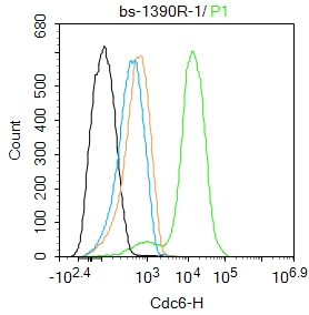 Cdc6 Rabbit pAb(bs-1390R)-50ul