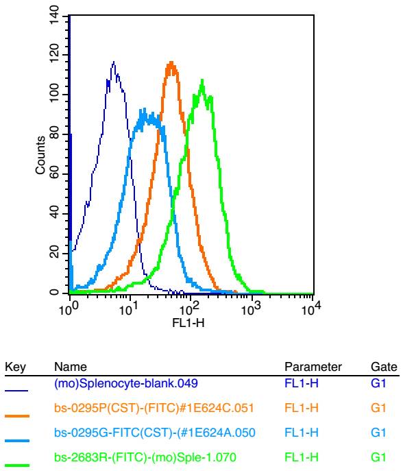 CLEC2D Rabbit pAb(bs-2683R)-50