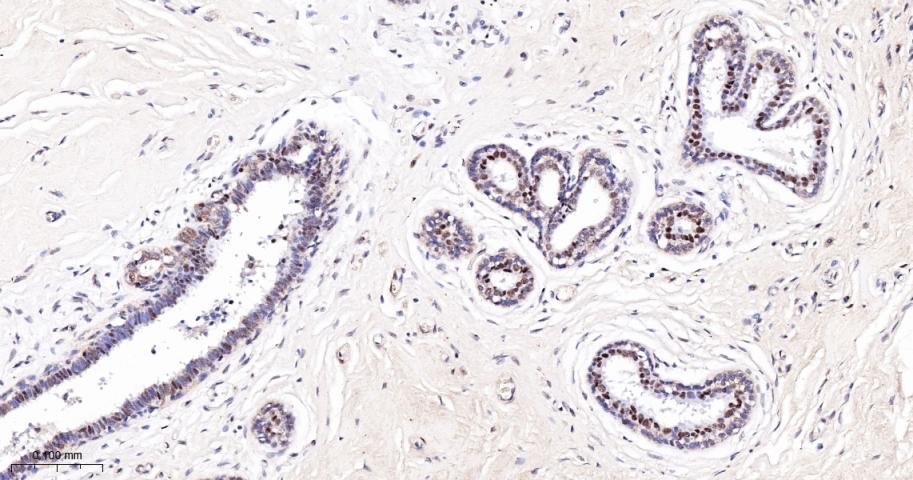 产品细节图片11