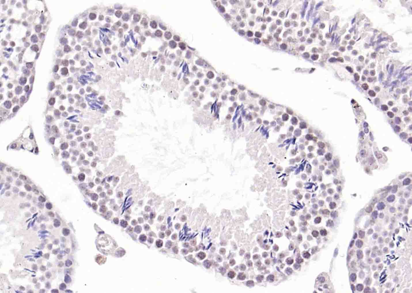 产品细节图片13