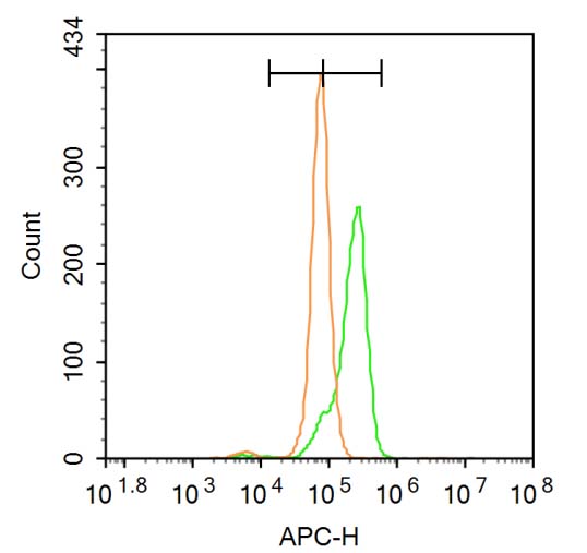 Aurora B Rabbit pAb(bs-2445R)-