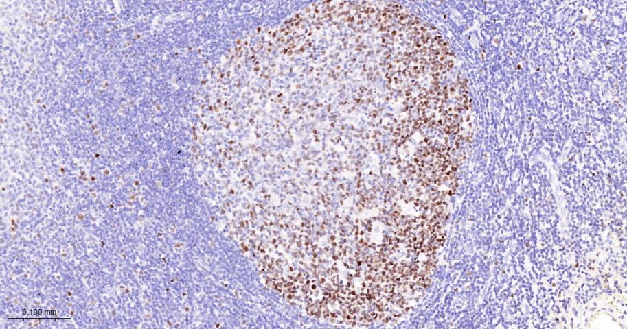 产品细节图片10