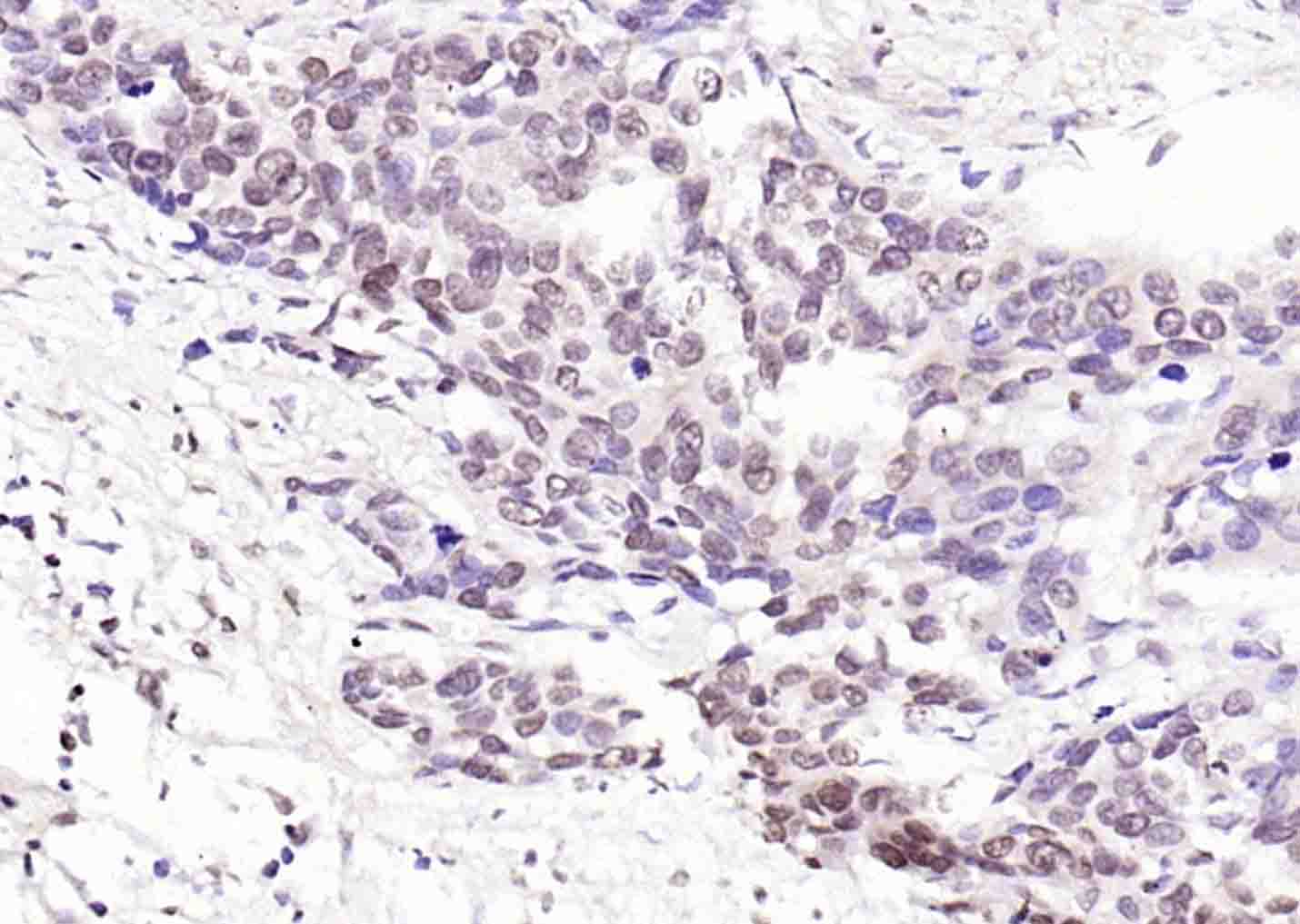 产品细节图片12