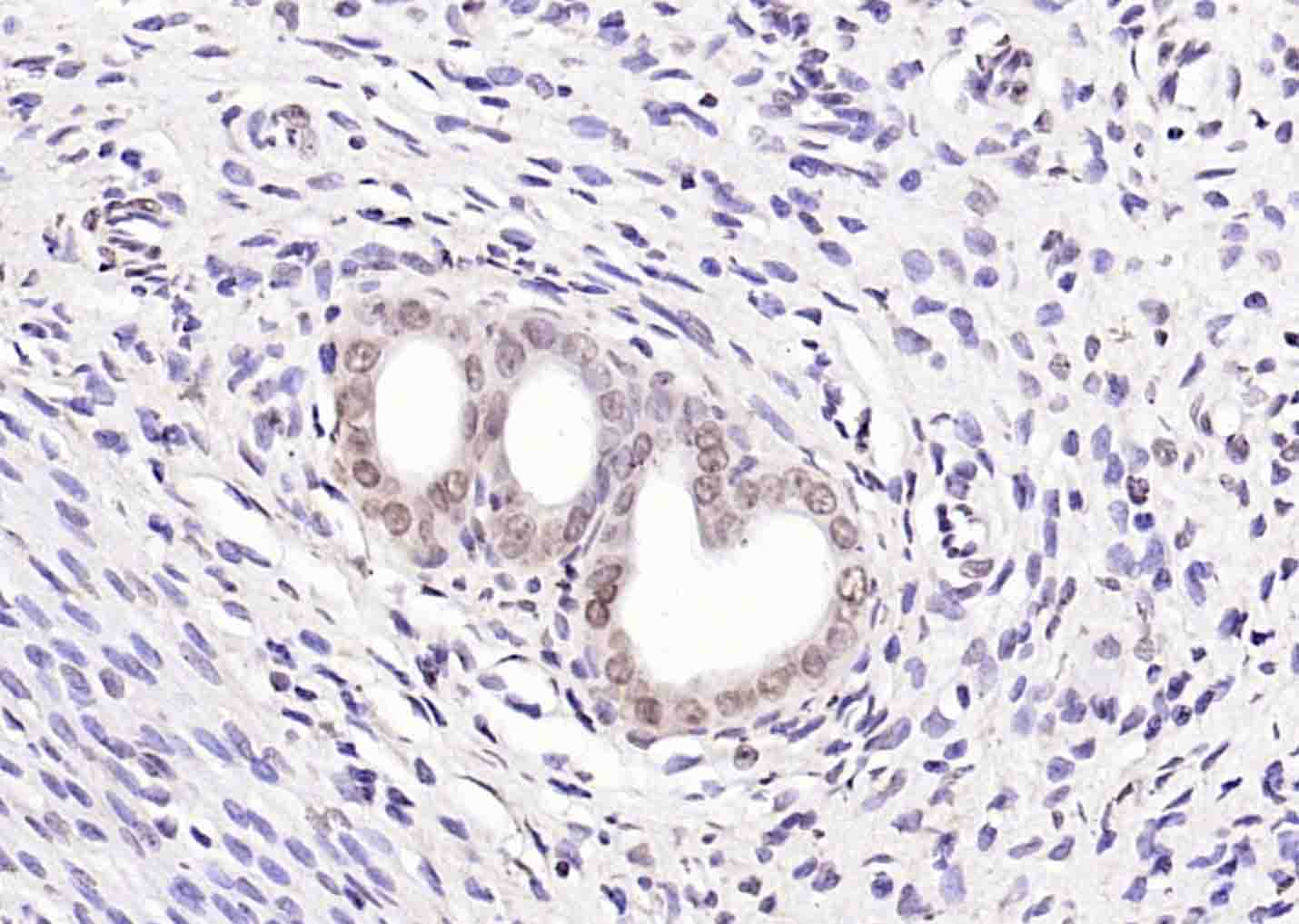 产品细节图片16