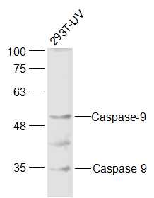 产品细节图片11