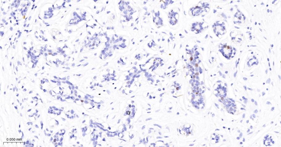 产品细节图片11