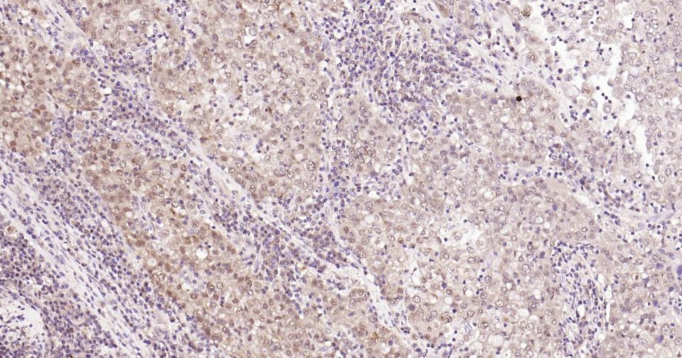 产品细节图片10