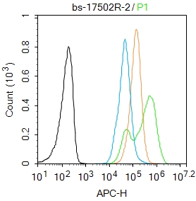phospho-NFKB p65 (Ser281) Rabb
