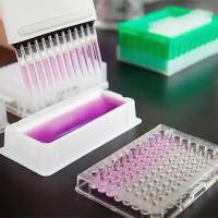 免疫杀伤效率定量-LDH检测(ELISA)