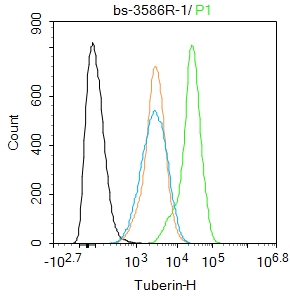 Tuberin Rabbit pAb(bs-3586R)-5