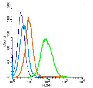 Piwil2 Rabbit pAb(bs-3817R)-50