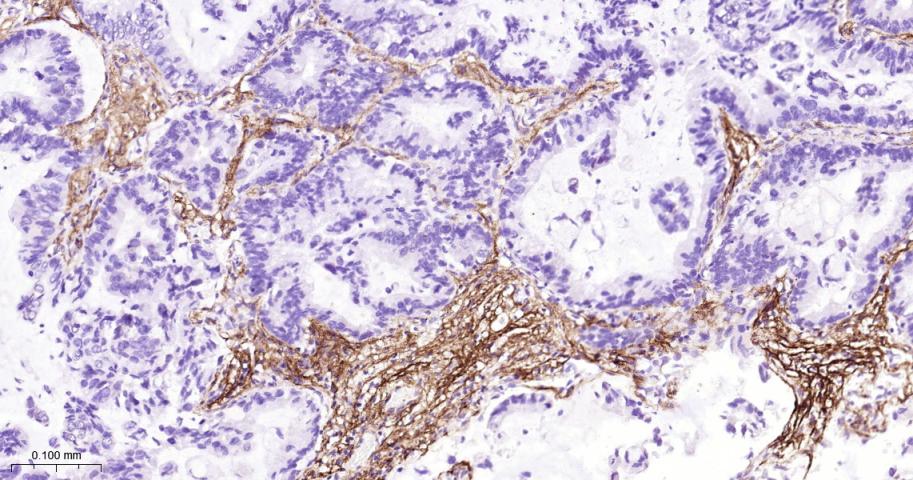 产品细节图片11