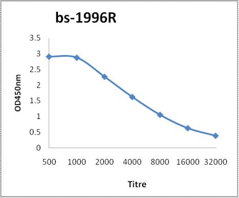 CD171/L1CAM Rabbit pAb(bs-1996