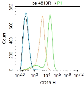 CD45 Rabbit pAb(bs-4819R)-50ul