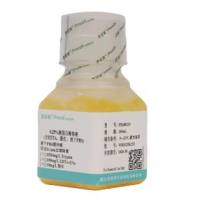 0.25%胰蛋白酶溶液（含EDTA、酚红，溶于PBS）