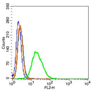 CAPD3 Rabbit pAb(bs-7734R)-50u