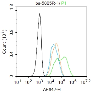 phospho-TERT (Ser1125) Rabbit 