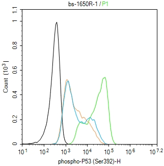 phospho-P53 (Ser392) Rabbit pA