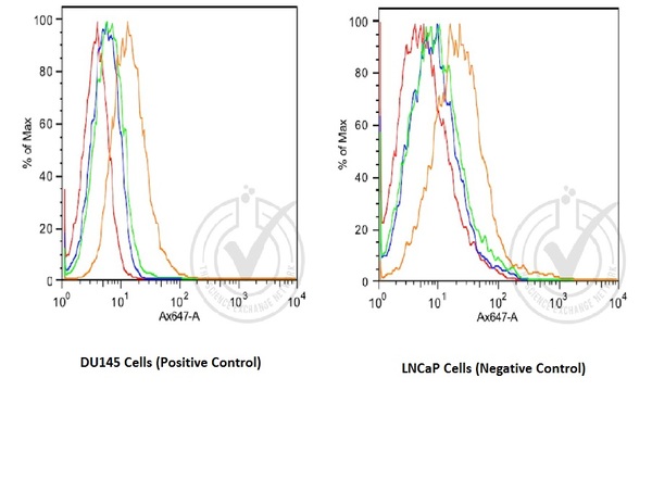 P-cadherin Rabbit pAb(bs-1159R