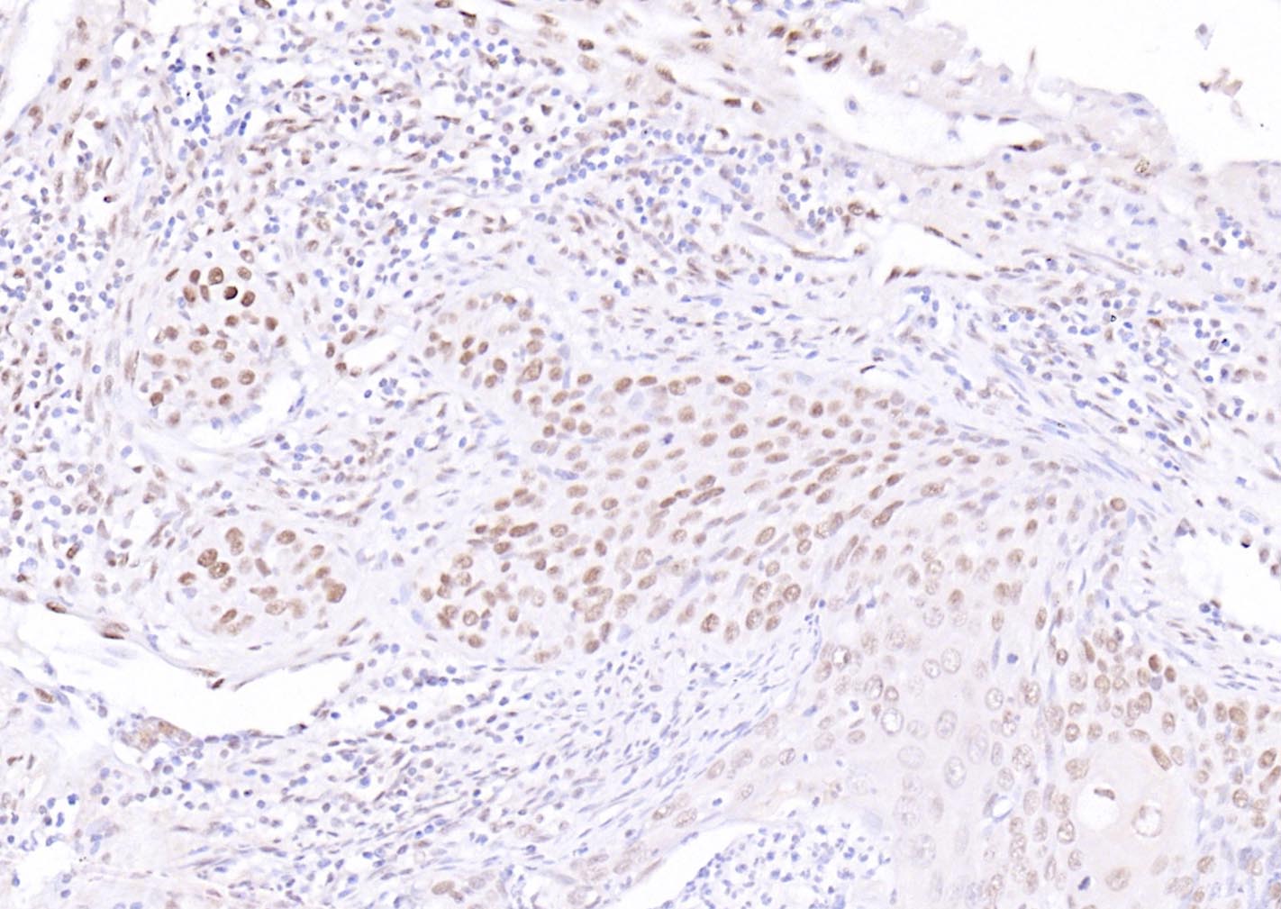 产品细节图片11