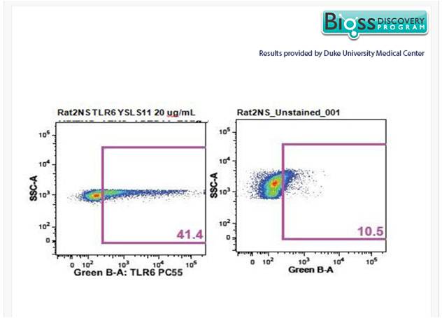 TLR6 Rabbit pAb(bs-2716R)-50ul