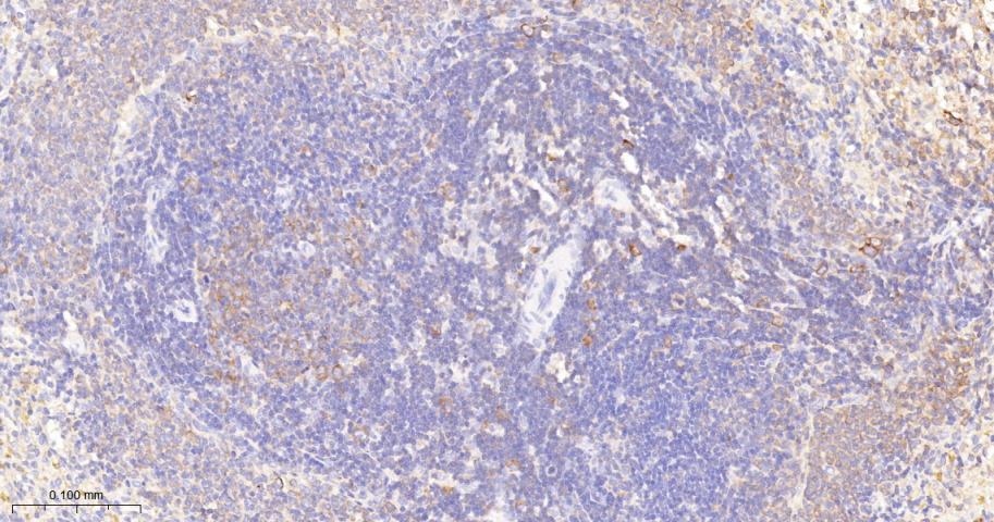 产品细节图片10