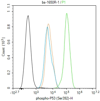 phospho-P53 (Ser392) Rabbit pA