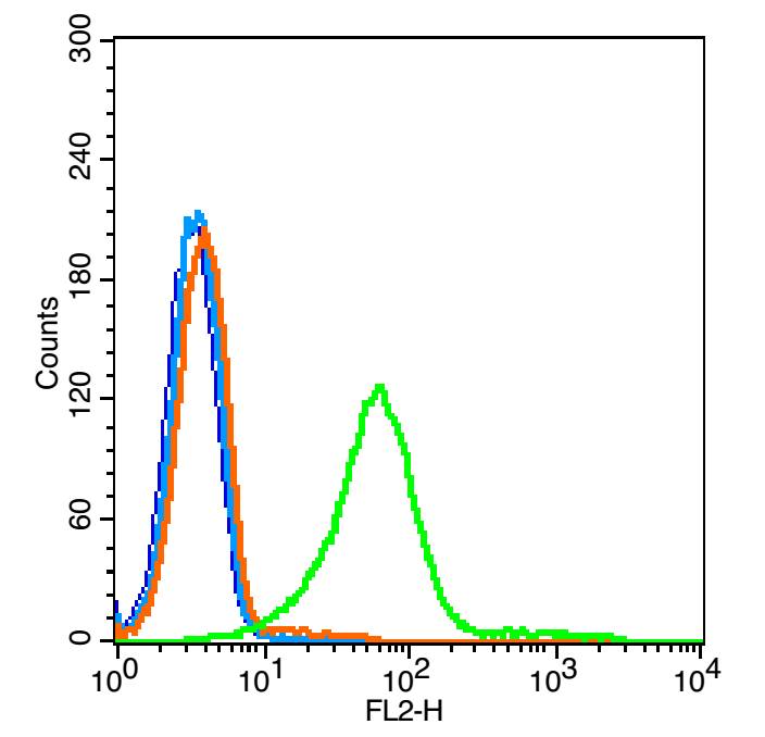 TNFR1 Rabbit pAb(bs-2941R)-50u