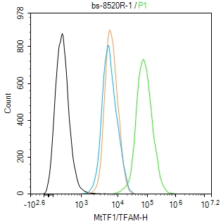 MtTF1/TFAM Rabbit pAb(bs-8520R