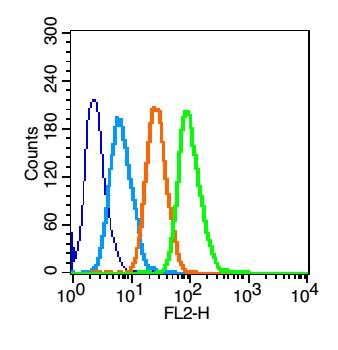 ALPPL2 Rabbit pAb(bs-20188R)-5