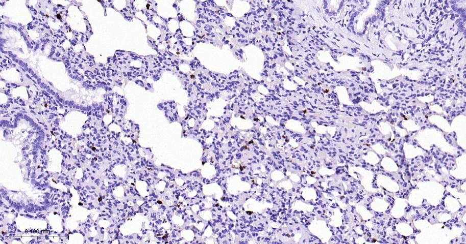 产品细节图片10