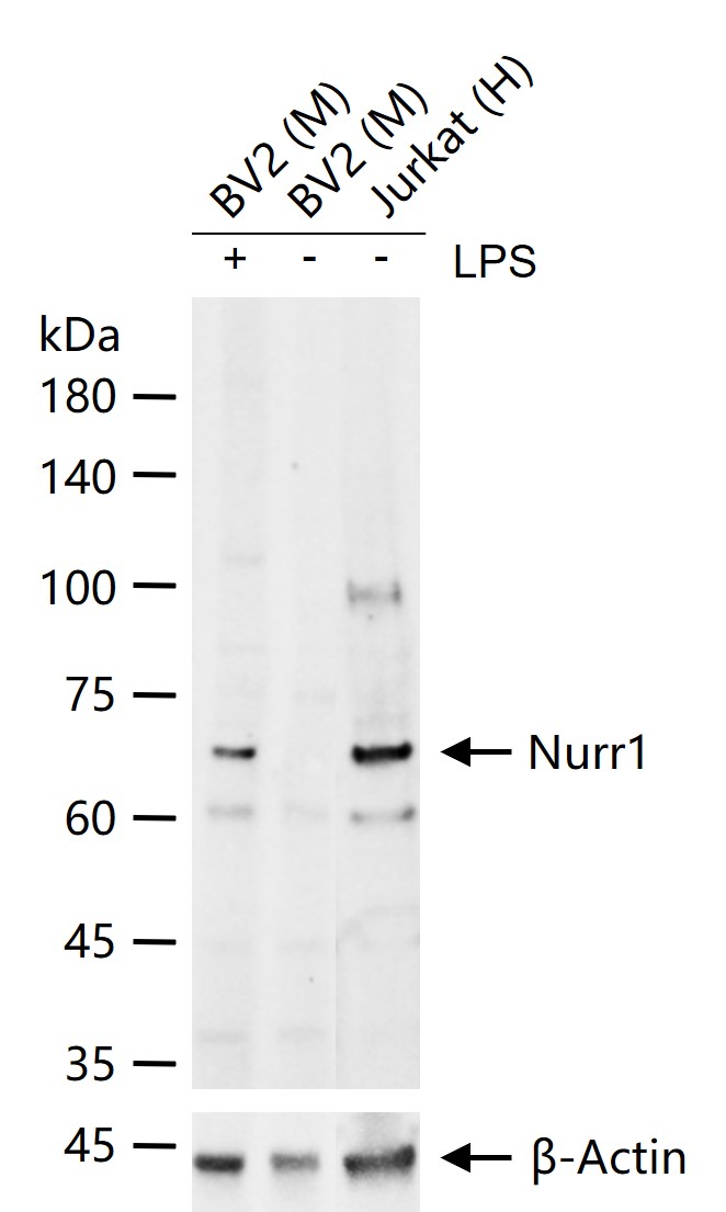 产品细节图片11