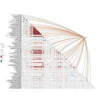 免疫细胞迁移\浸润分析