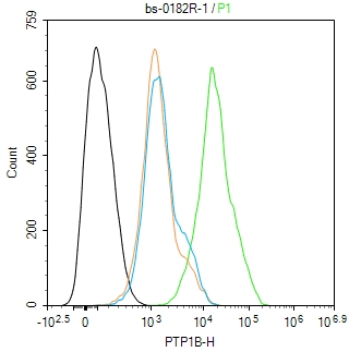 PTPN1 Rabbit pAb(bs-0182R)-50u