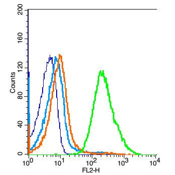 TLR1 Rabbit pAb(bs-1919R)-50ul