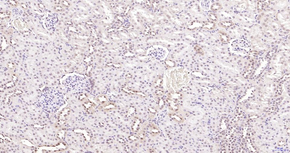 产品细节图片11