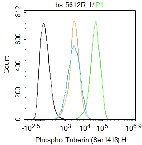 phospho-Tuberin (Ser1418) Rabb