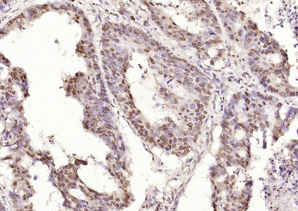产品细节图片11