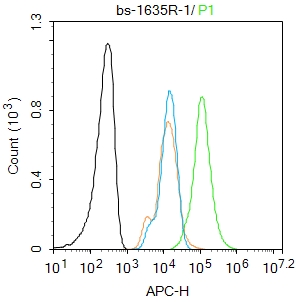 B3GAT1 Rabbit pAb(bs-1635R)-50