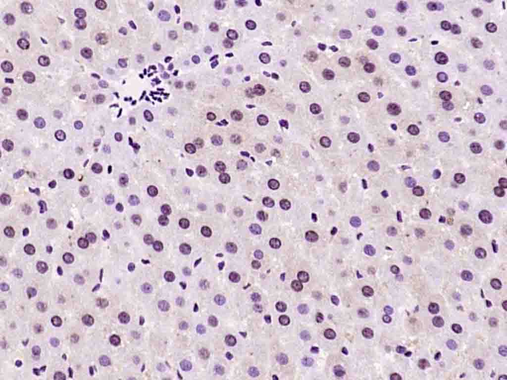 产品细节图片10