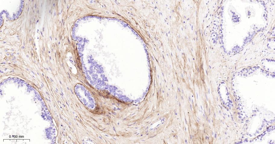 产品细节图片13