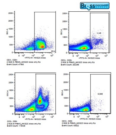 NKG2C Rabbit pAb(bs-2416R)-50u