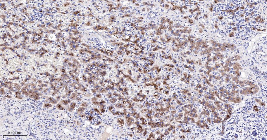 产品细节图片10