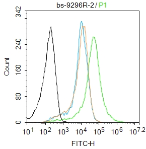 ARHGAP32 Rabbit pAb(bs-9296R)-