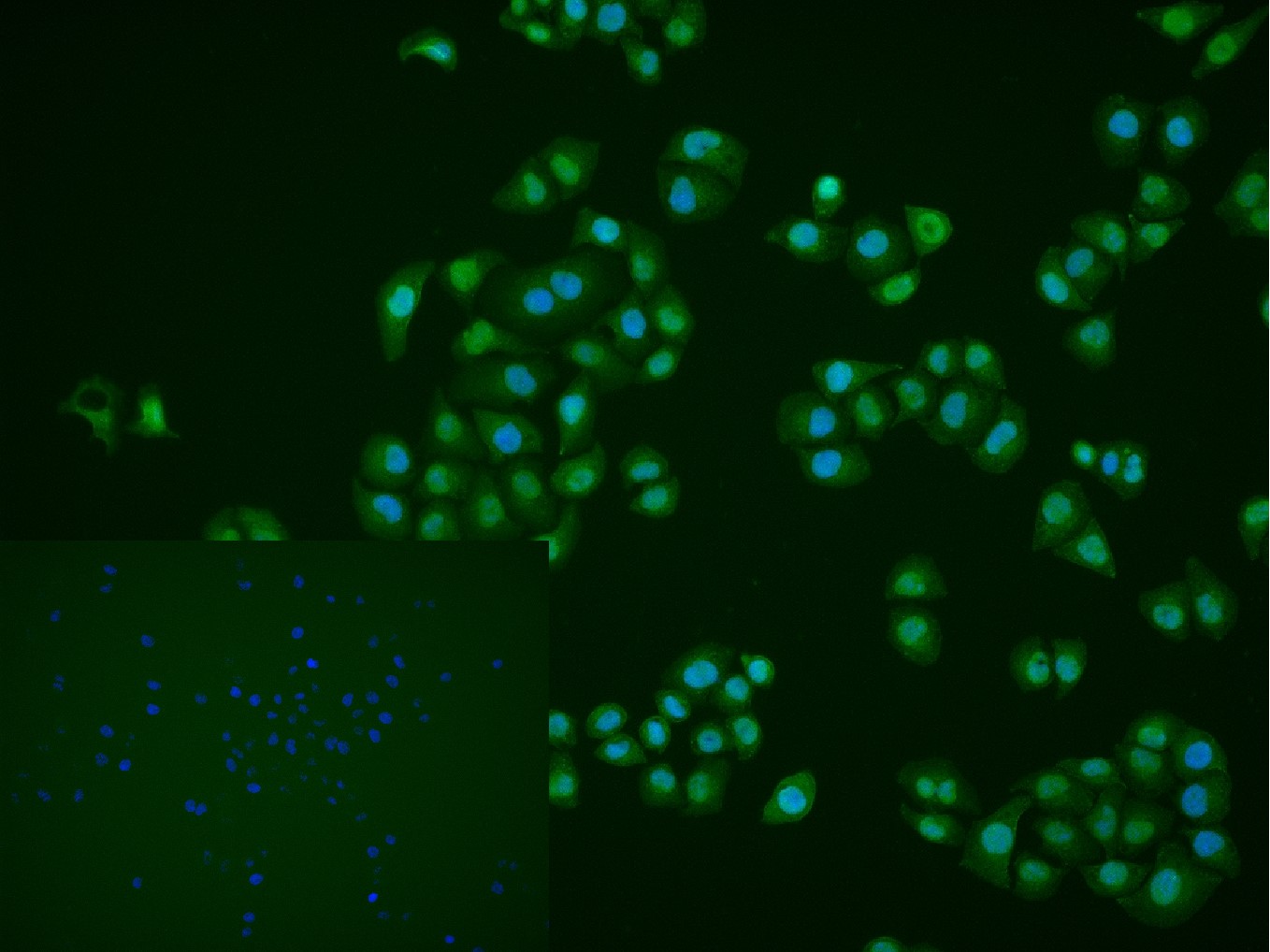 产品细节图片12