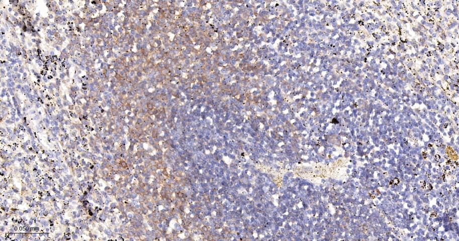 产品细节图片11