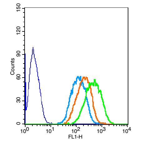 PARK7/DJ1 Rabbit pAb(bs-1306R)