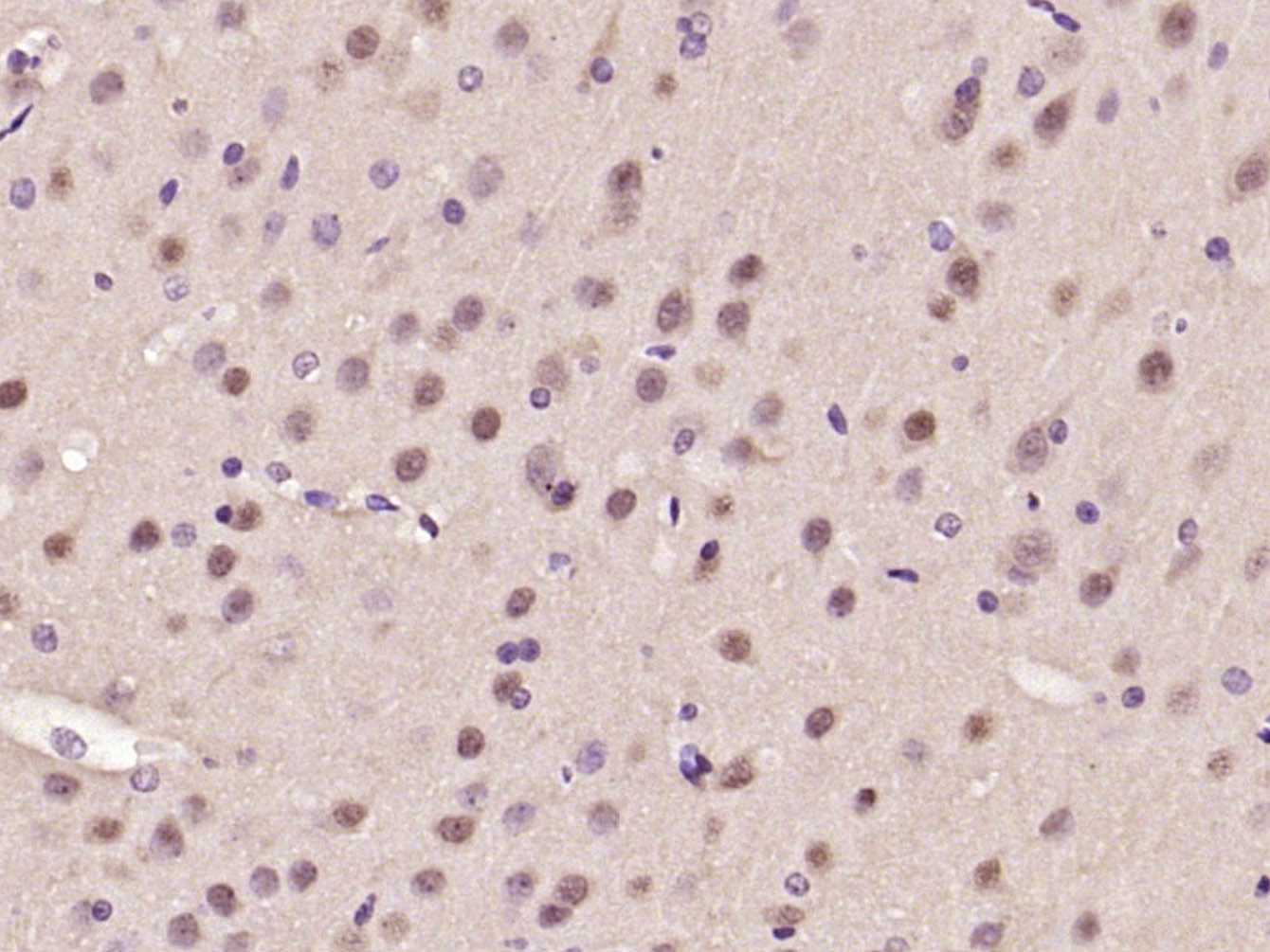 产品细节图片11