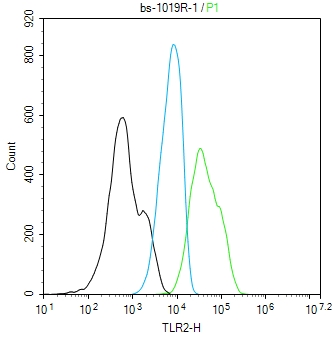 TLR2 Rabbit pAb(bs-1019R)-50ul