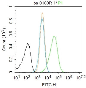 Caspase-1 P10 Rabbit pAb(bs-01